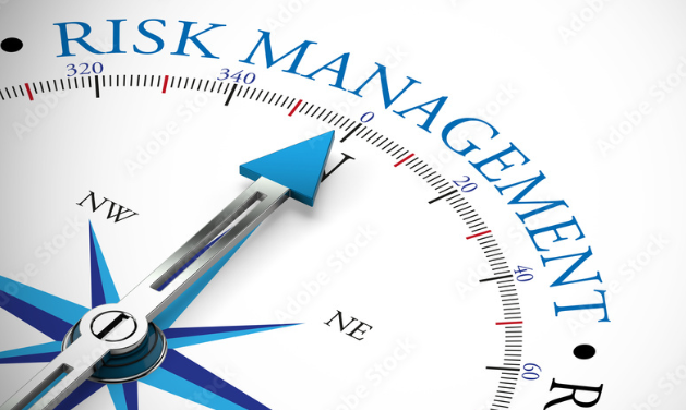 Visionary Leadership: Managing an Avalanche of Risk in a Chaotic World